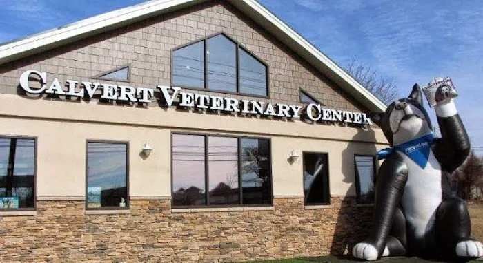 VCA Calvert Veterinary Center Picture 3