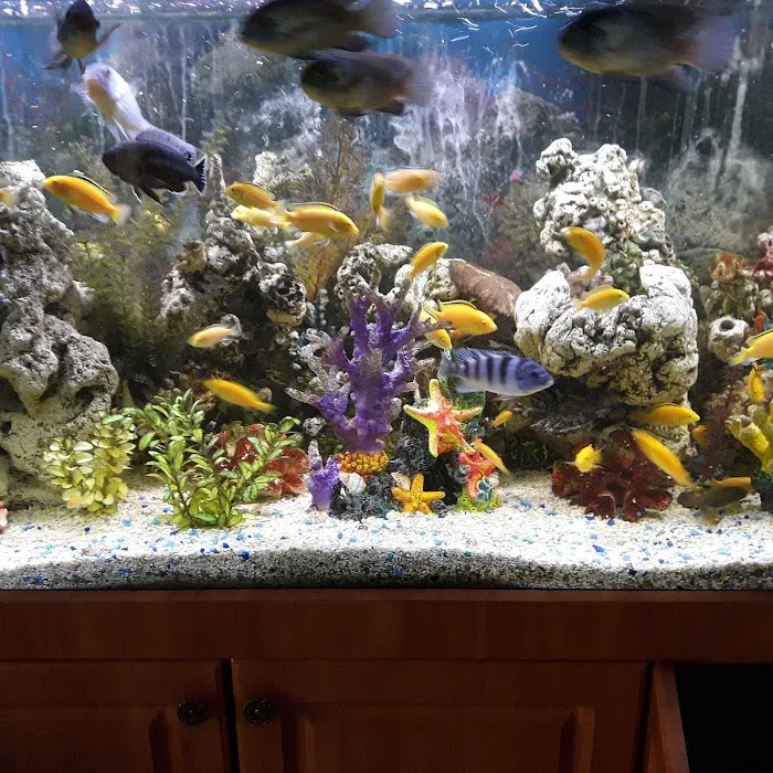 Neighborhood Fish Farm Picture 9