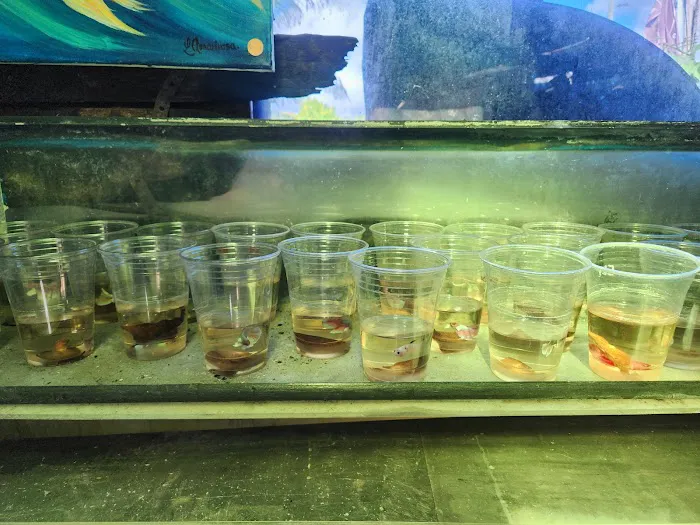 Neighborhood Fish Farm Picture 4