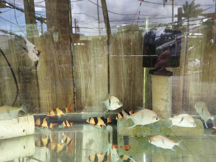 Neighborhood Fish Farm Picture 7