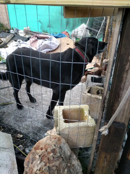 Neighborhood Fish Farm Picture 3