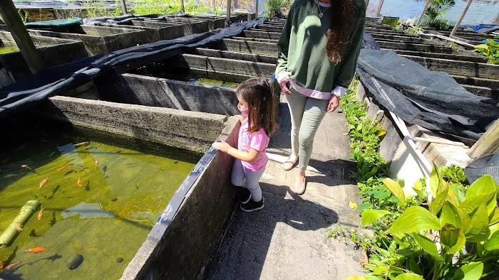 Neighborhood Fish Farm Picture 2