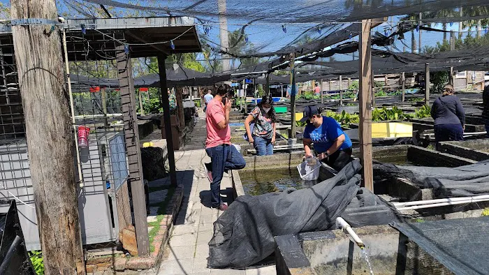 Neighborhood Fish Farm Picture 5
