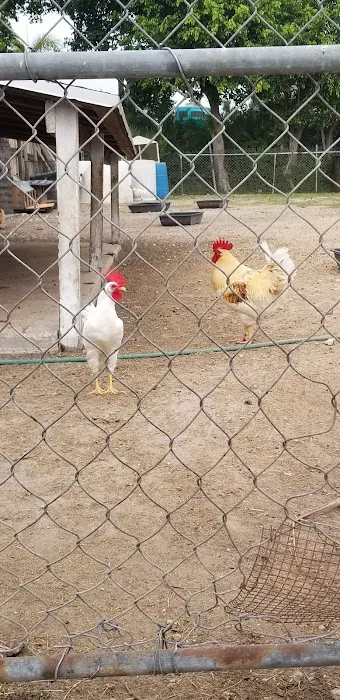 El Canario Farm Picture 1