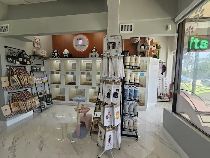Amore Pet Grooming Kendall Picture 3