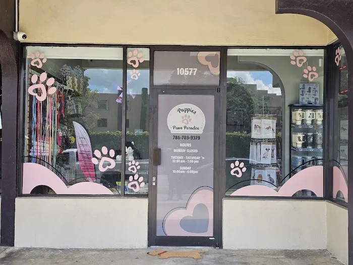 Amore Pet Grooming Kendall Picture 2