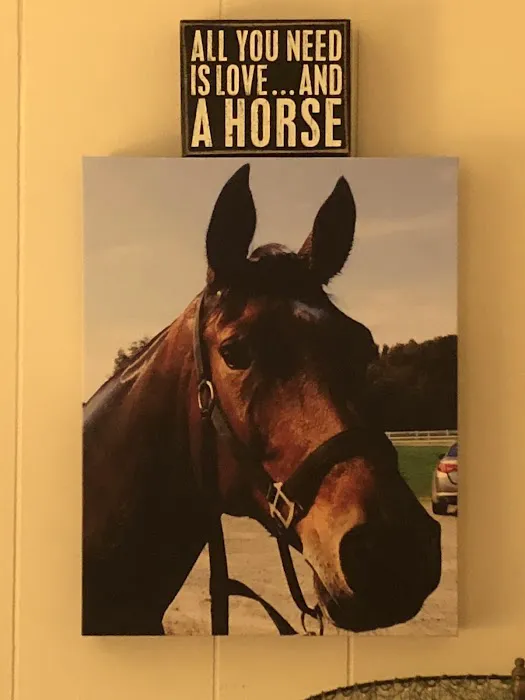 Cokesbury Veterinary Services (Equine Only) Picture 1