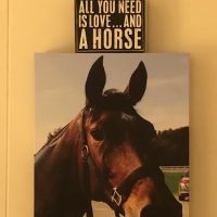 Cokesbury Veterinary Services (Equine Only) ico