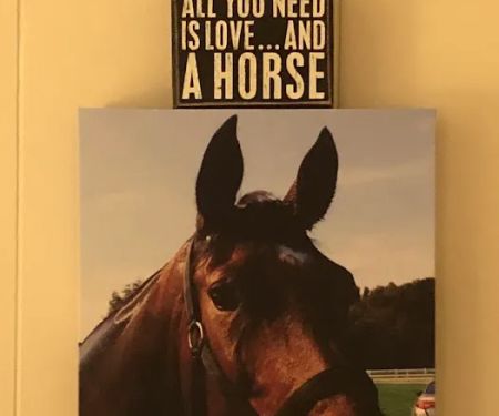 Cokesbury Veterinary Services (Equine Only)