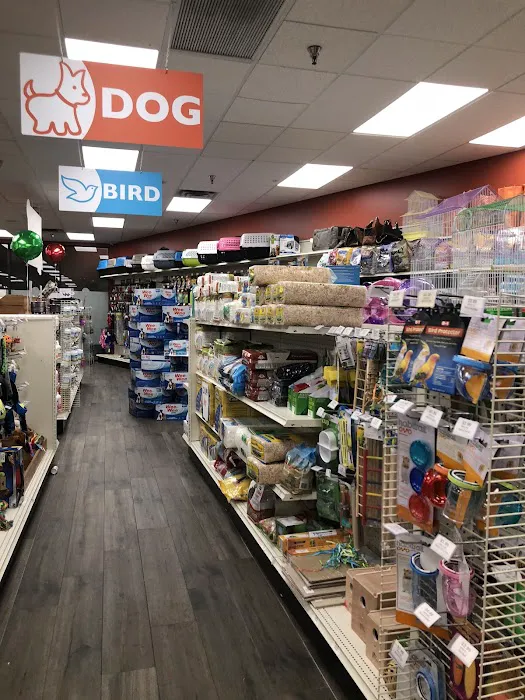 Petland Miami Picture 2