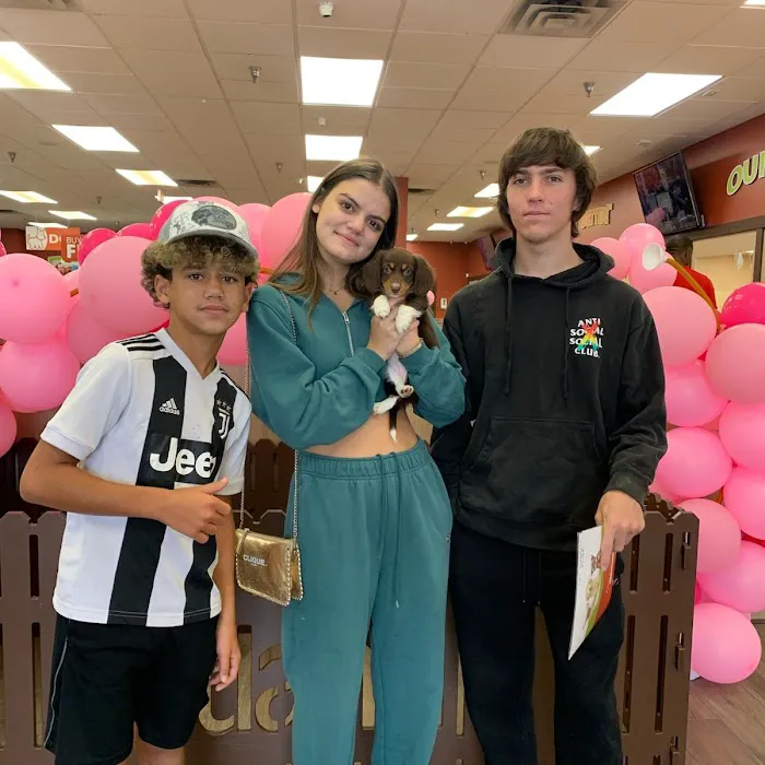 Petland Miami Picture 8