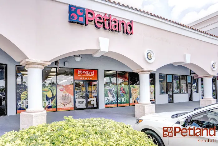 Petland Miami Picture 4