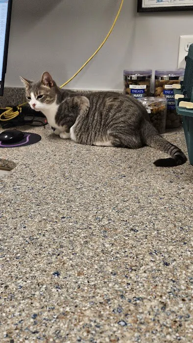 Savannah Animal Hospital Picture 8