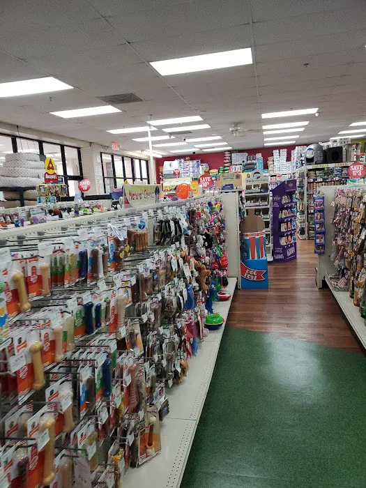 Pet Supermarket Picture 2