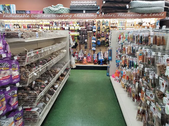 Pet Supermarket Picture 7