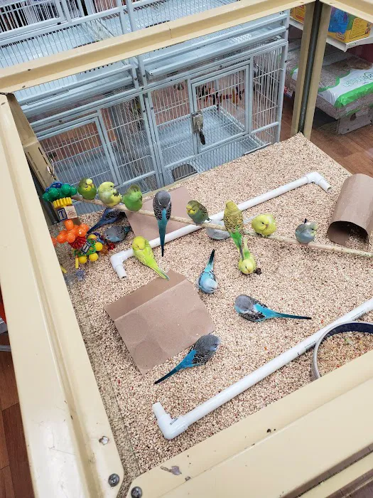 Pet Supermarket Picture 8