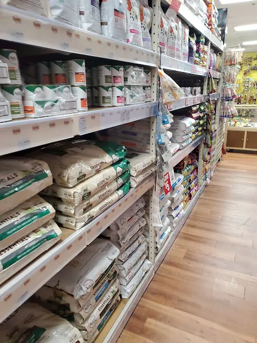 Pet Supermarket Picture 6