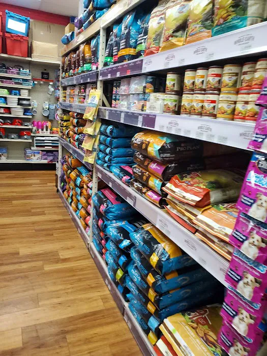Pet Supermarket Picture 3