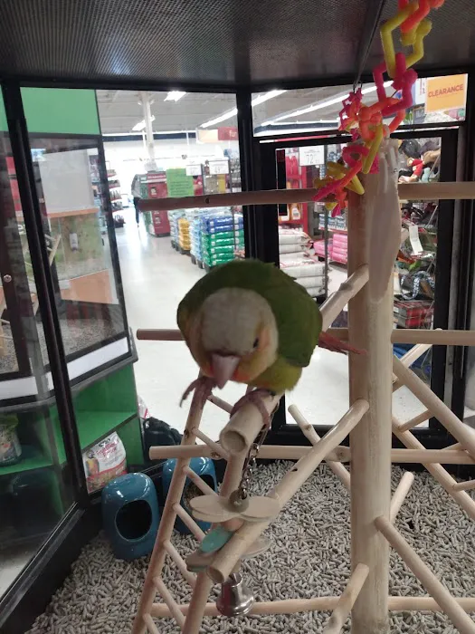 Petco Picture 8