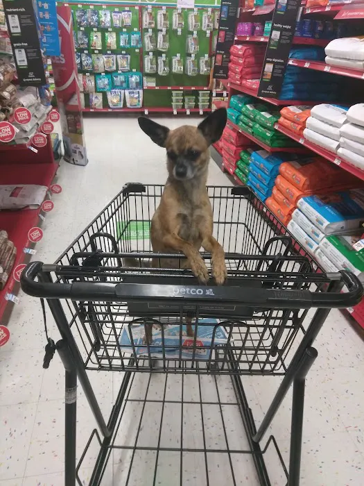 Petco Picture 7