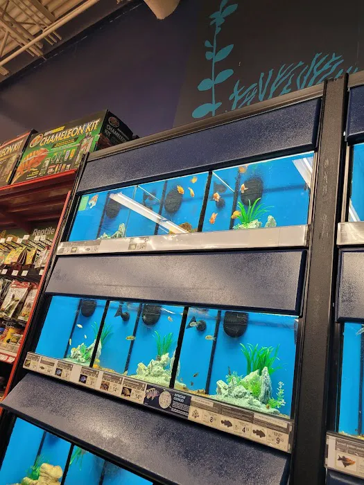 Petco Picture 9