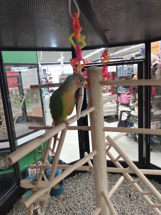 Petco Picture 6