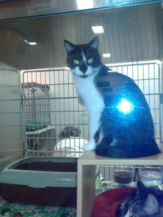 Petco Picture 1