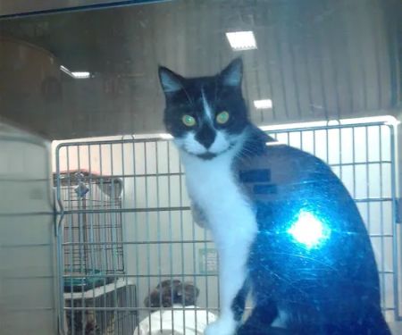 Petco
