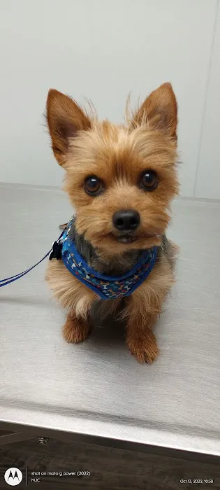 Pet Medical Center Picture 8