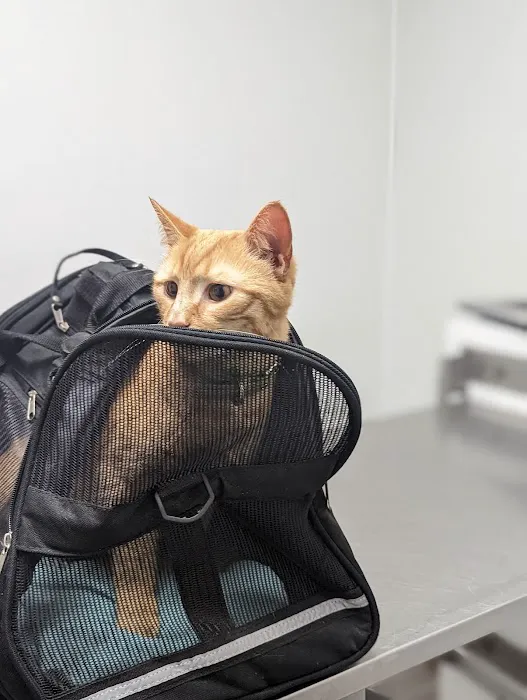 Pet Medical Center Picture 7