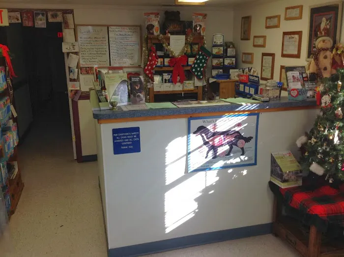 Lonestar Animal Hospital PA Picture 2