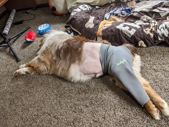 Peninsula Animal Hospital Picture 7