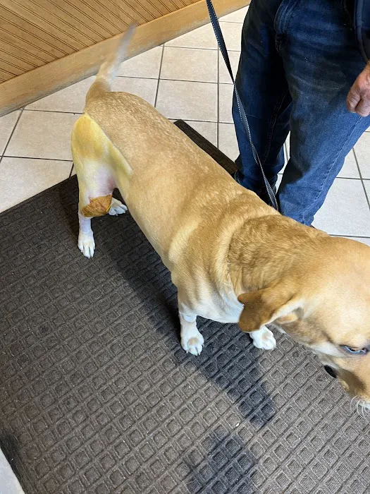 Peninsula Animal Hospital Picture 4