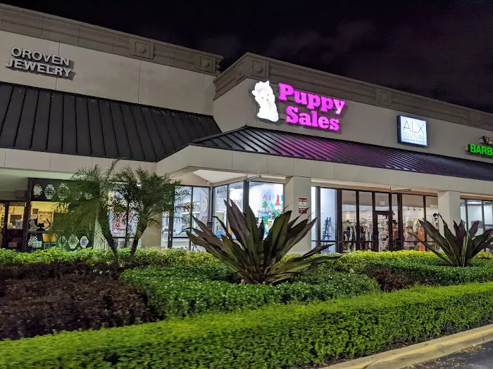 Forever Love Puppies Miami Picture 2