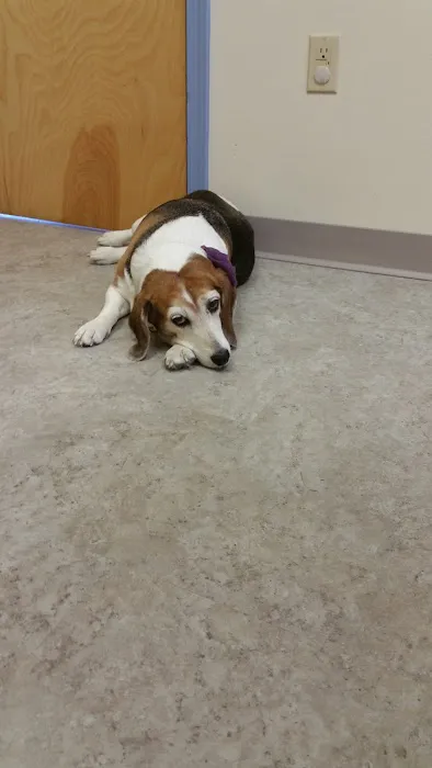 Cabin Creek Animal Hospital Picture 3