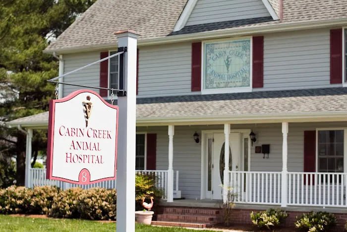 Cabin Creek Animal Hospital Picture 6