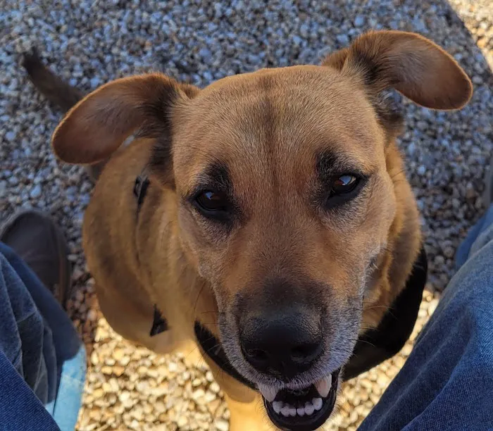 Cabin Creek Animal Hospital Picture 1