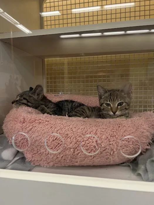 Petco Picture 1