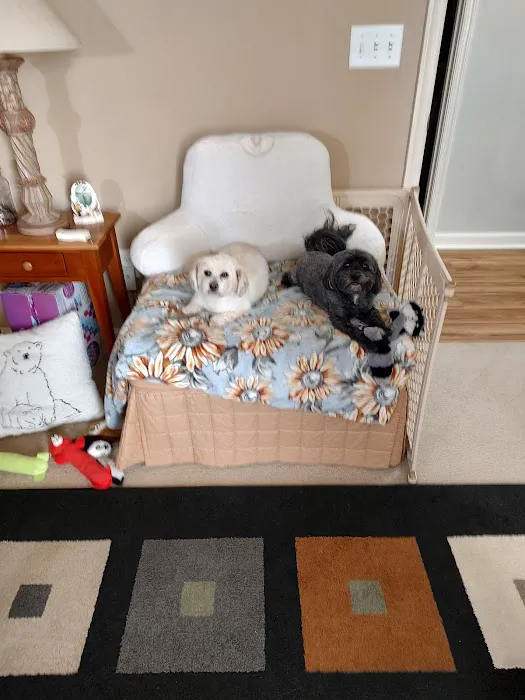 Banfield Pet Hospital Picture 3