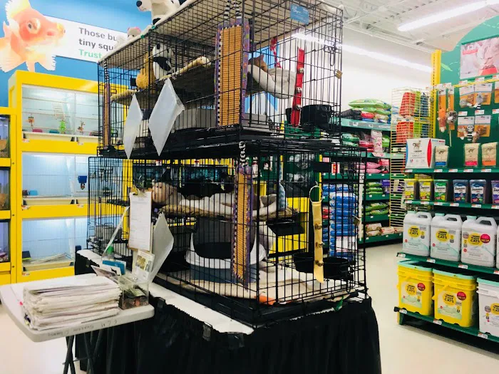Pet Supplies Plus Hollywood Picture 5
