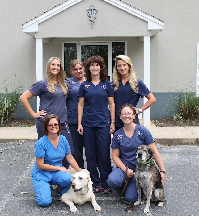 Winter Place Animal Hospital Picture 2