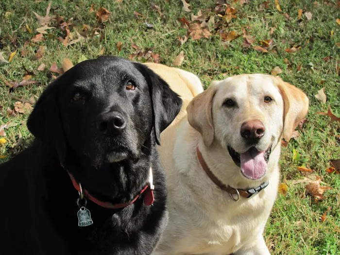 Winter Place Animal Hospital Picture 4
