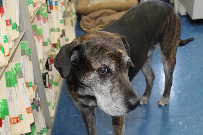 Winter Place Animal Hospital Picture 5