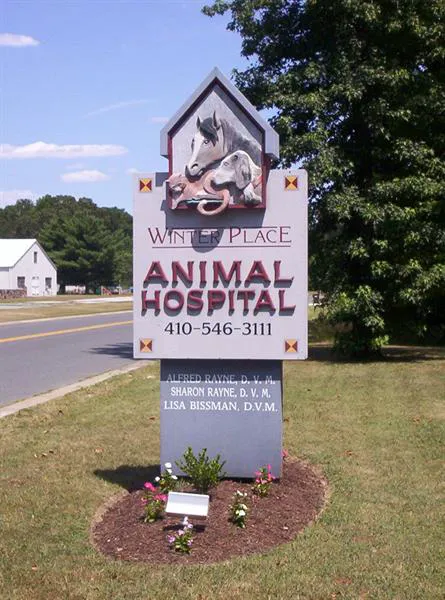 Winter Place Animal Hospital Shari Rayne,DVM Picture 2