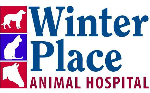 Winter Place Animal Hospital Shari Rayne,DVM Picture 3