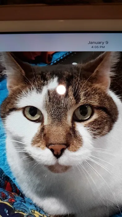 Pets ER Veterinary Office Picture 5