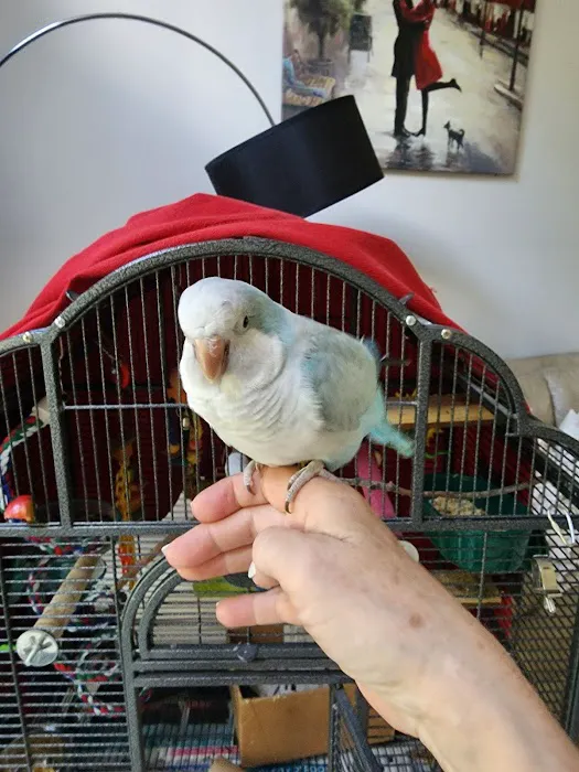 Bill's Birds & Pets Picture 7