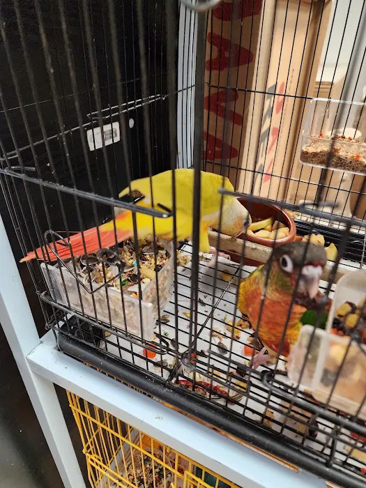 Bill's Birds & Pets Picture 2