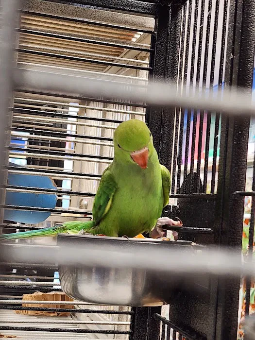 Bill's Birds & Pets Picture 6