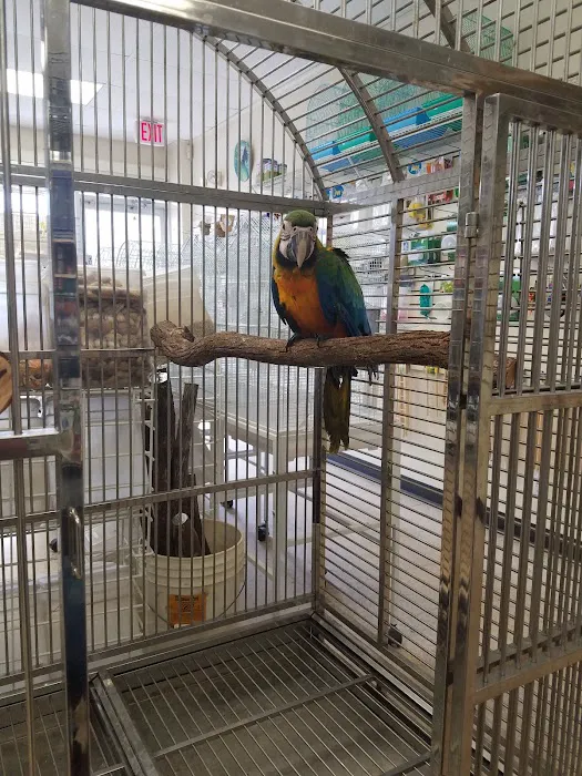 Bill's Birds & Pets Picture 9